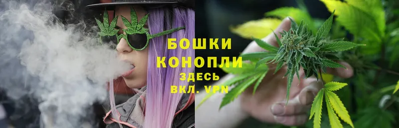 Каннабис Ganja  Белокуриха 